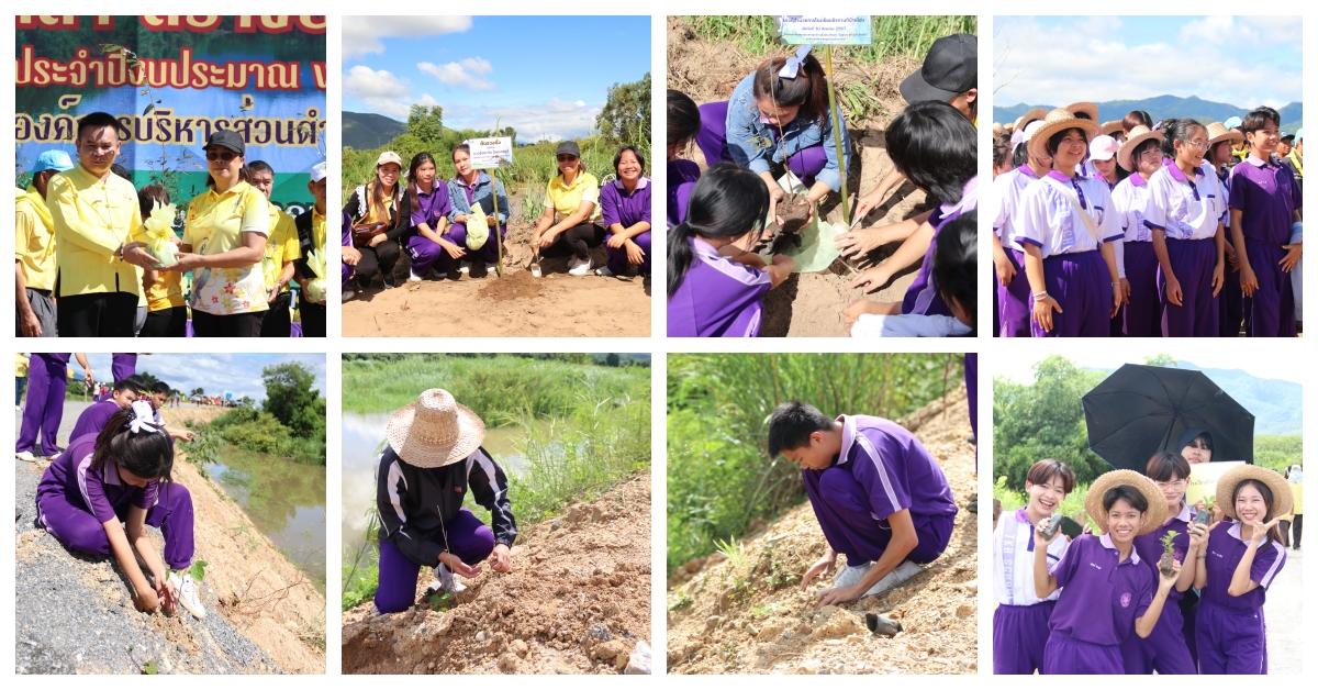 ร่วมกิจกรรมโครงการเวียงกานต์ อาสาปลูกป่า เฉลิมพระเกียรติฯ "จิตอาสา สร้างป่า รักษ์น้ำ"